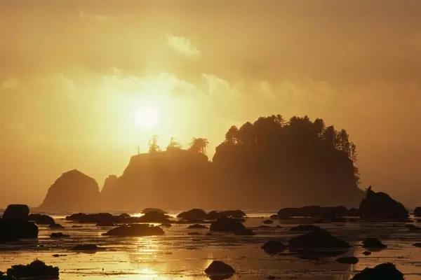 USA - sunset over sea stacks Olympic National Park, Washington, USA