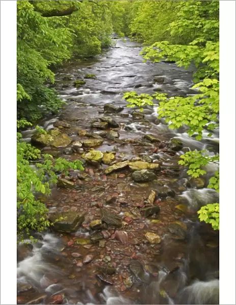 River Tawe Brecon Beacons NP, Wales LA000431