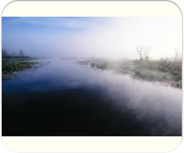 Mist - rising from river in White Memorial Foundation, early morning