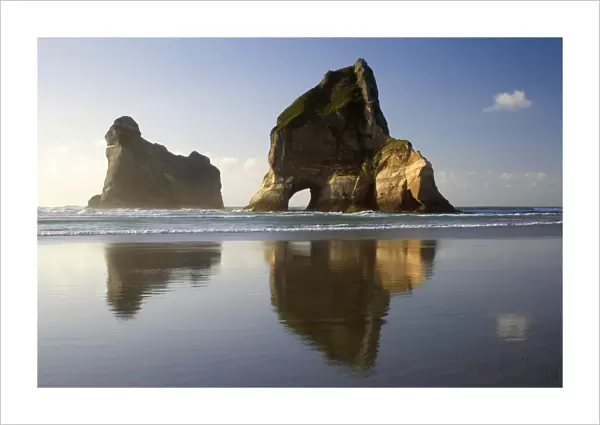Rocky Islands - by powerful surf sculpted rock islands with caves and arches at Wharariki beach in last evening light Wharariki Beach, Golden Bay, Nelson District, South Island, New Zealand