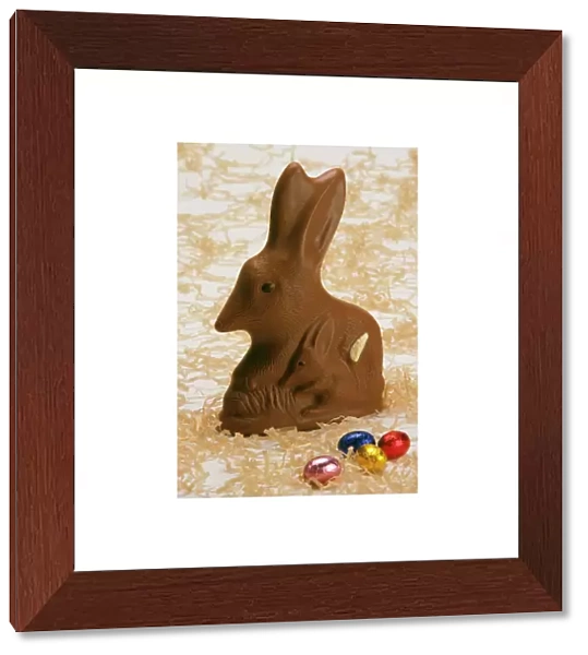 Chocolate Bilby - Australia's version of the Easter bunny JLR07151