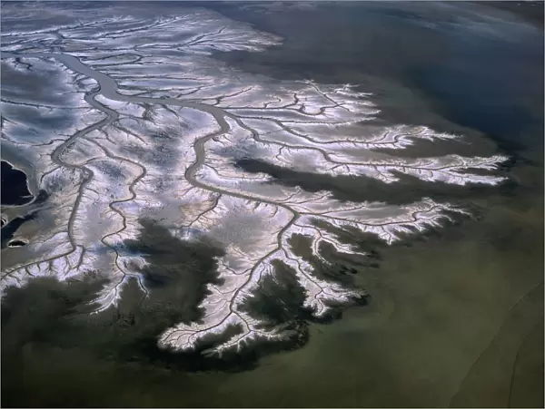 Aerial - Tidal flats along King Sound area, near Derby with mangrove-lined tidal river and dendritic drainage channels - Kimberley region, Western Australia JPF45092