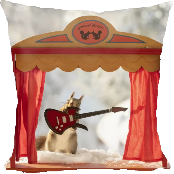 red squirrel holding an guitar standing in a theatre