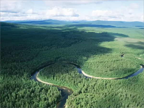 Russia Aerial. Coniferous boreal forest. Taiga Forest & river, North Ural Mountains