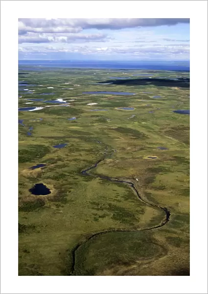 Semi-tundra, aerial view from a helicopter. A typical landscape near large lake Pyasina, Taimyr peninsula, North of Siberia, Russian Arctic, summer. Di33. 1904