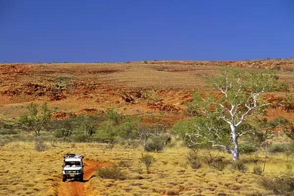 Canning Stock Rooute with 4WD Little Sandy Desert, Western Australia JLR03114