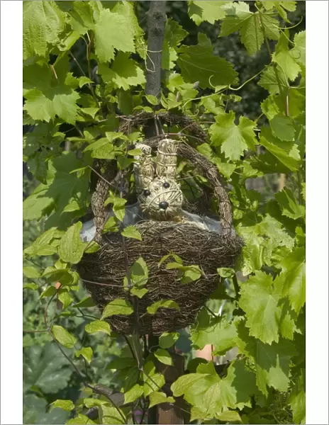 Straw Rabbit - in basket hanging among vines