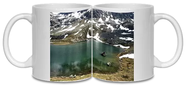Alpine Lake, Julier Pass, Switzerland / Italy Oligotrophic - Little organic matter formed which makes water low in nutrients