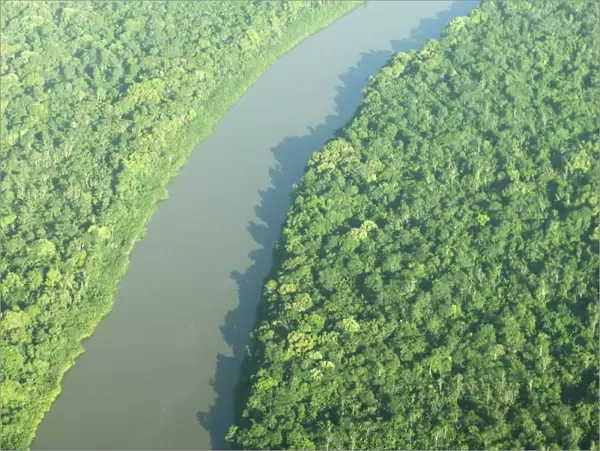 Coppename River and Rainforest Central Suriname Nature Reserve South America