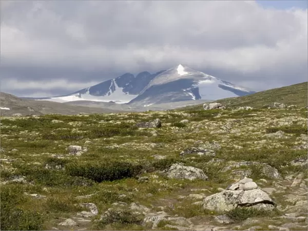 High tundra and mountains in the Dovrefjell National Park, Norway