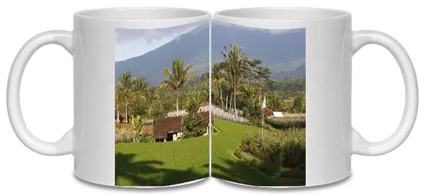Rice fields terraces and gardens near Jatiluwih in Bali - Indonesia