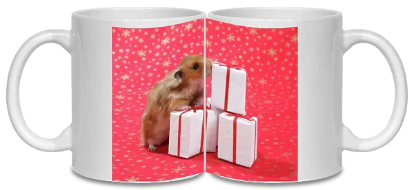 Syrian Hamster with Christmas presents