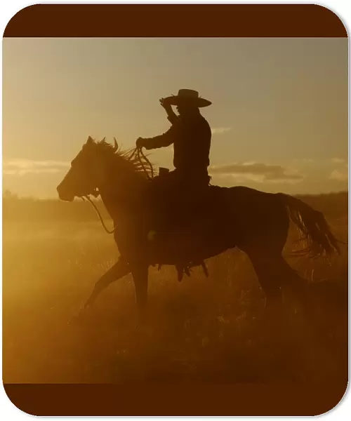 Cattleman riding Quarter  /  Paint Horse - at sunset. Ponderosa Ranch - Seneca - Oregon - USA