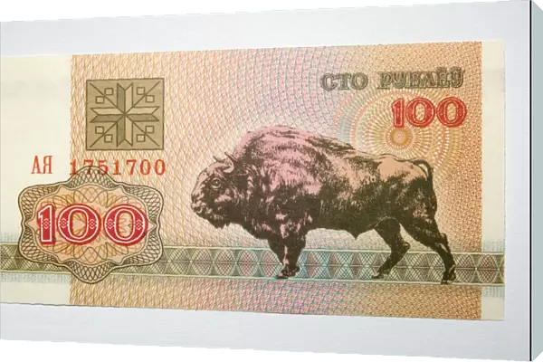 Banknote - Old Belorussia uncirculated banknote 100 roubles - depicting European Bison of Bialowieza Nature Reserve En44. 0001