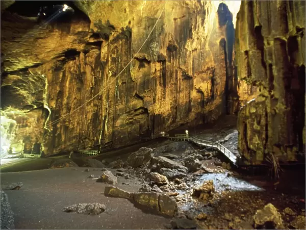 Borneo - gomantong caves, home to swiflets & bat species
