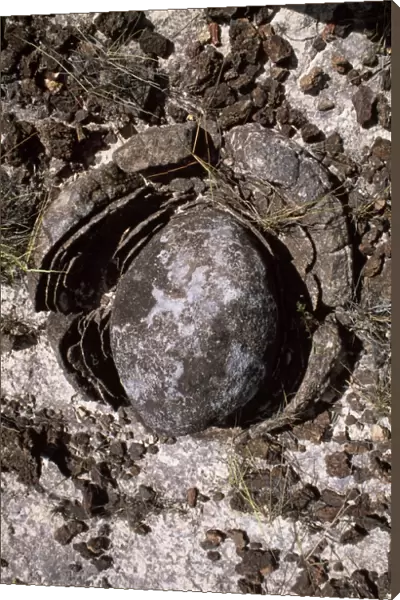 Eroded granite near Mount Roraima, Gran Sabana, Estado Bolivar, Venezuela, South America