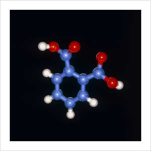 Molecular model of phthalic acid