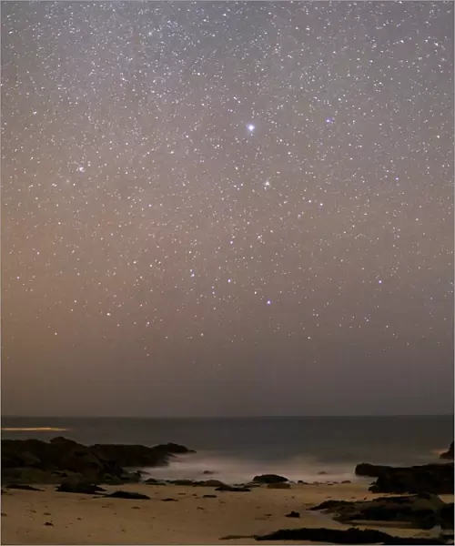 Sirius in Canis Major over a beach