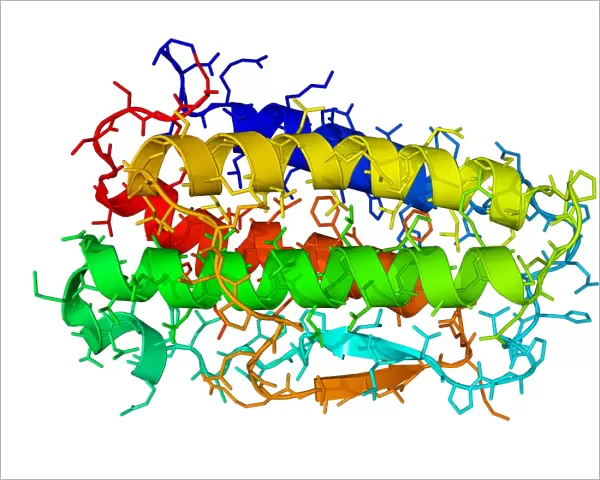 Thrombopoietin hormone molecule