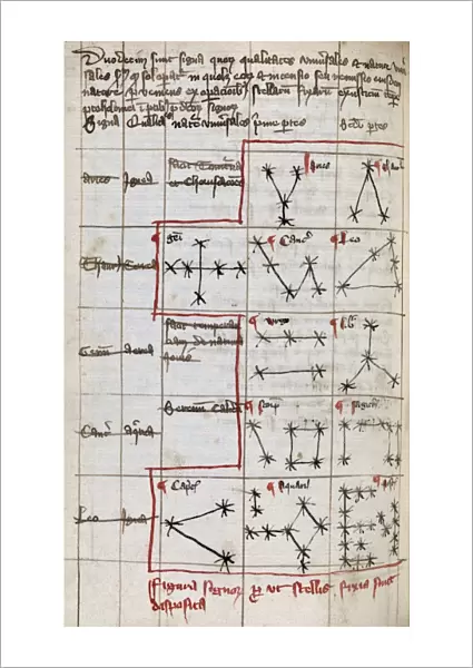 Constellations, 14th century manuscript
