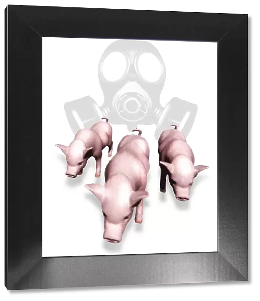 Swine flu protection, conceptual image