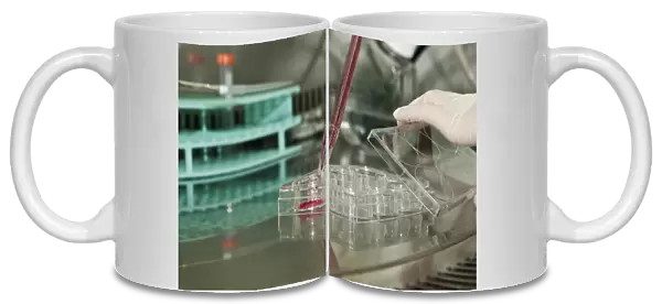 Cell cultures in multi-well tray