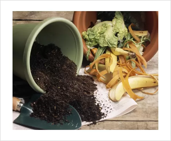 Compost made from kitchen waste. Compost is a mixture of decaying organic