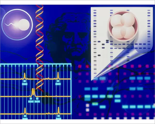 Computer artwork depicting embryo paternity test