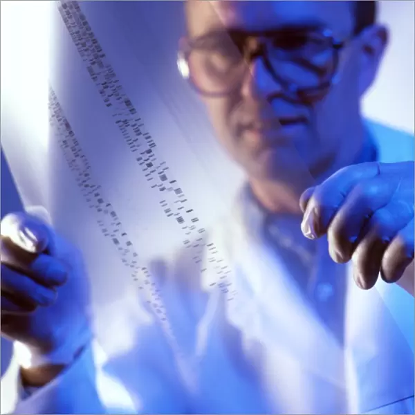 Male technician examines DNA fingerprints