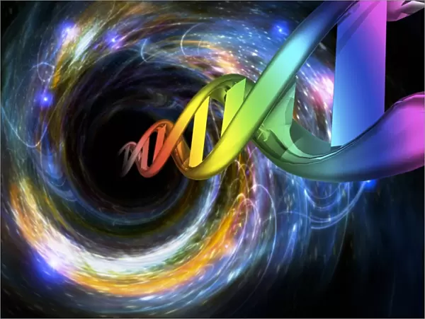 Double helix entering blackhole