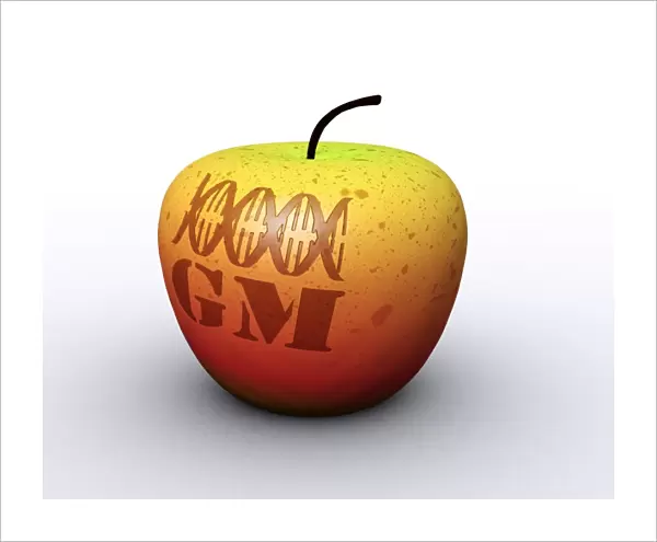 Genetically modified apple, artwork