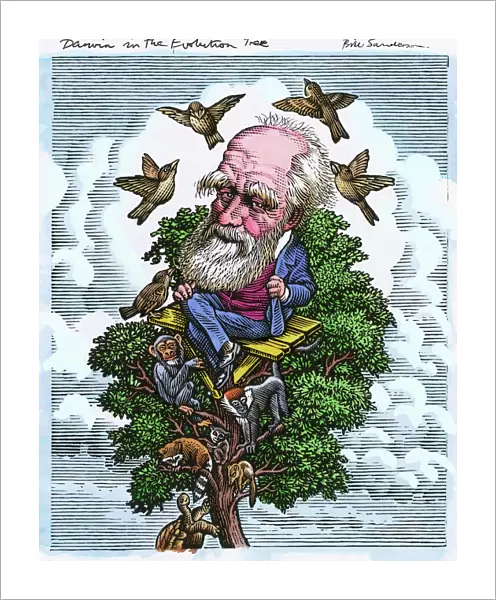 Charles Darwin in his evolutionary tree