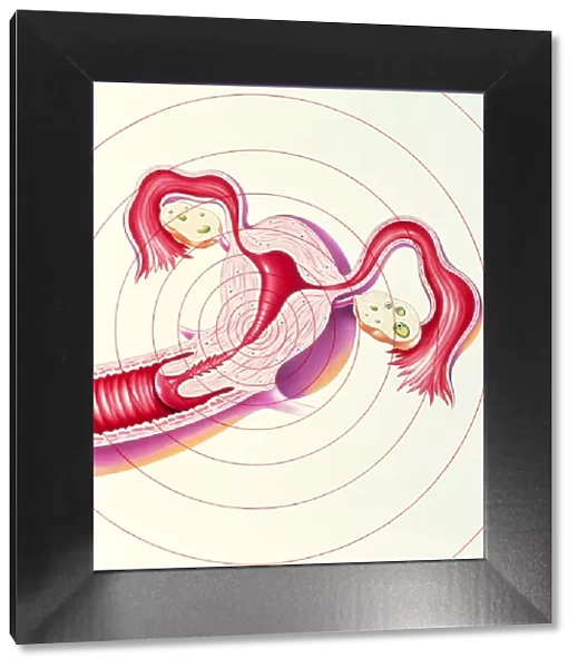 Artwork of uterus suffering menstrual pain