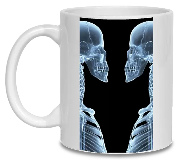 Skeletons, X-ray artwork
