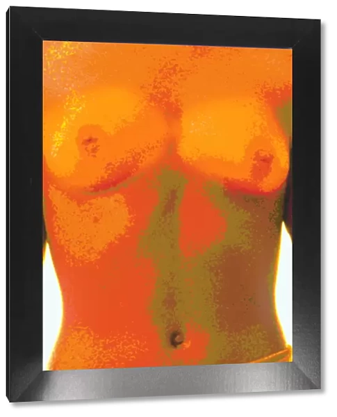 Computer abstract of womans torso, front view