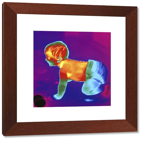 Thermogram of a baby