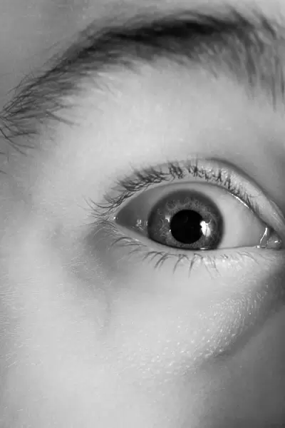 Human eye, infrared image C013  /  7322