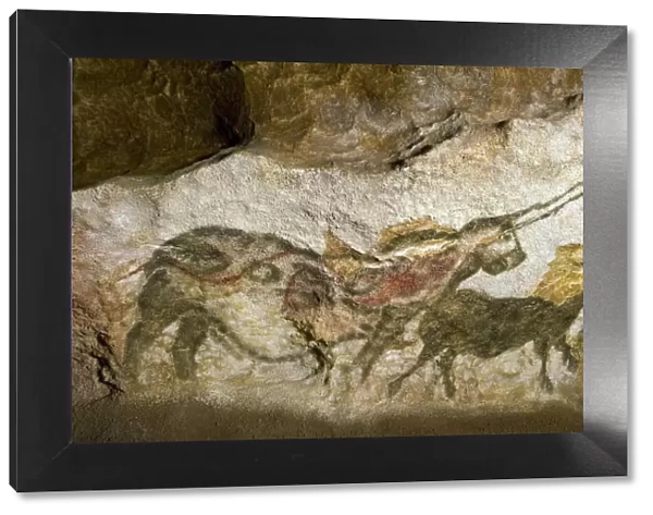 Lascaux II cave painting replica C013  /  7375