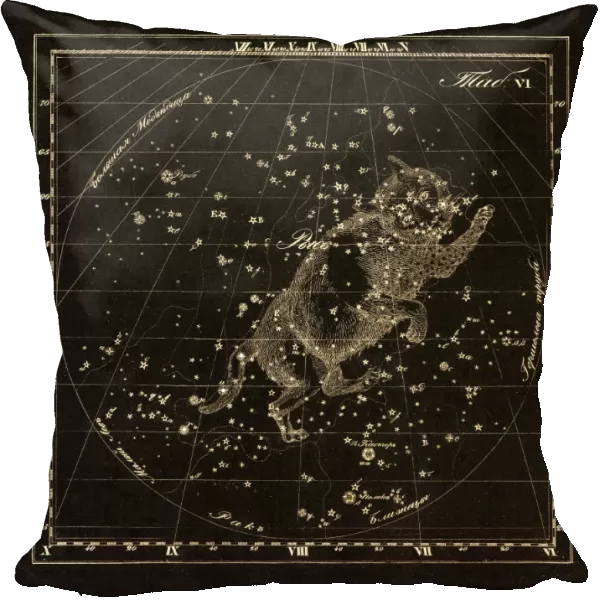 Lynx constellation, 1829 C016  /  4392