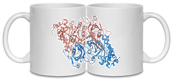 Rubisco enzyme molecule F006  /  9779