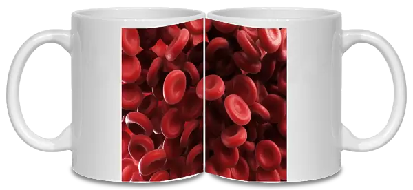 Red blood cells, artwork F006  /  2731