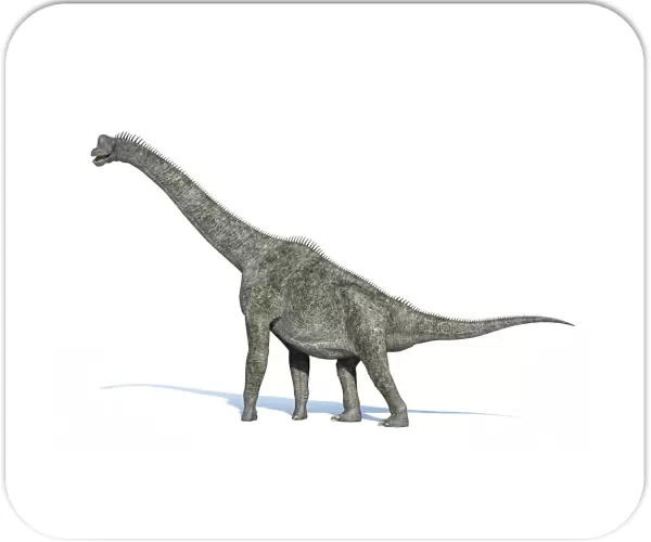 Brachiosaurus dinosaur, artwork