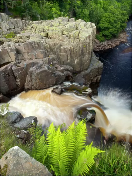 England, County Durham, High Force. The River Tees cascades down the High Force waterfall in County Durham