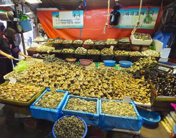 Shell fish, Incheon fish market, South Korea, Asia