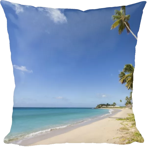 Towering coconut palms stretching towards the Caribbean Sea near Carlisle Bay. Antigua