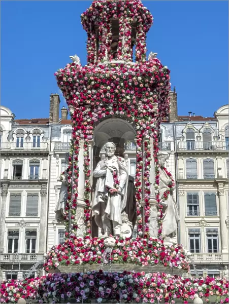 Jacobins Square during the 17th World Convention of Rose Societies in 2015, Lyon