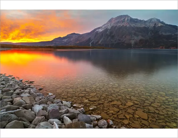 Sunrise at Driftwood Beach with Vimy Peak in the background, Waterton Lakes National Park