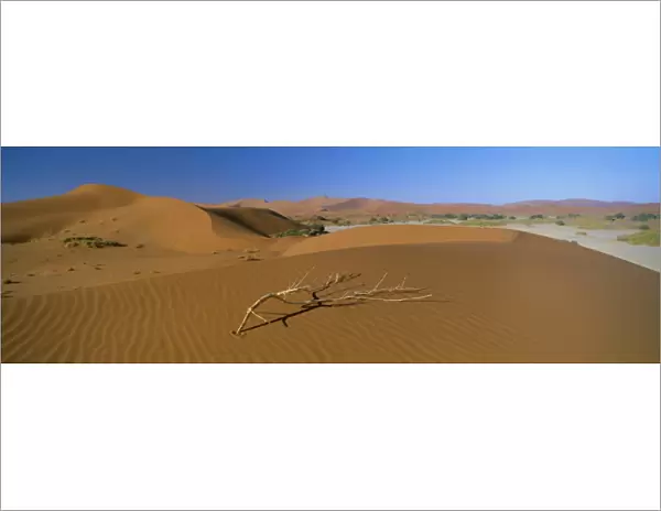 Panoramic view over dunes