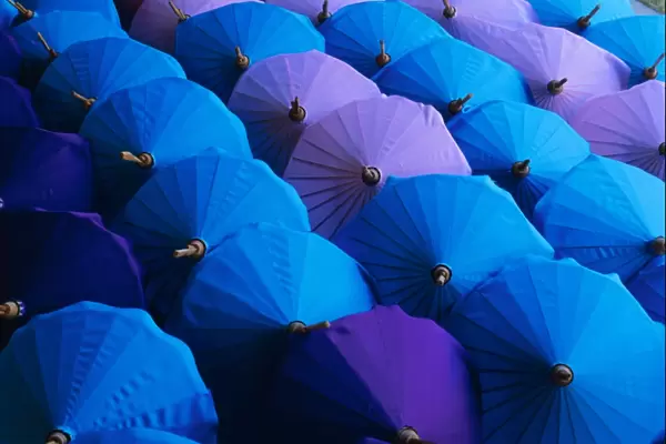 Umbrellas, Bo Sang