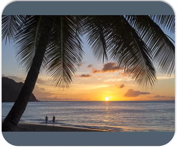 A view out to sea at sunset beneath the palm trees at Castara Bay in Tobago, Trinidad and Tobago